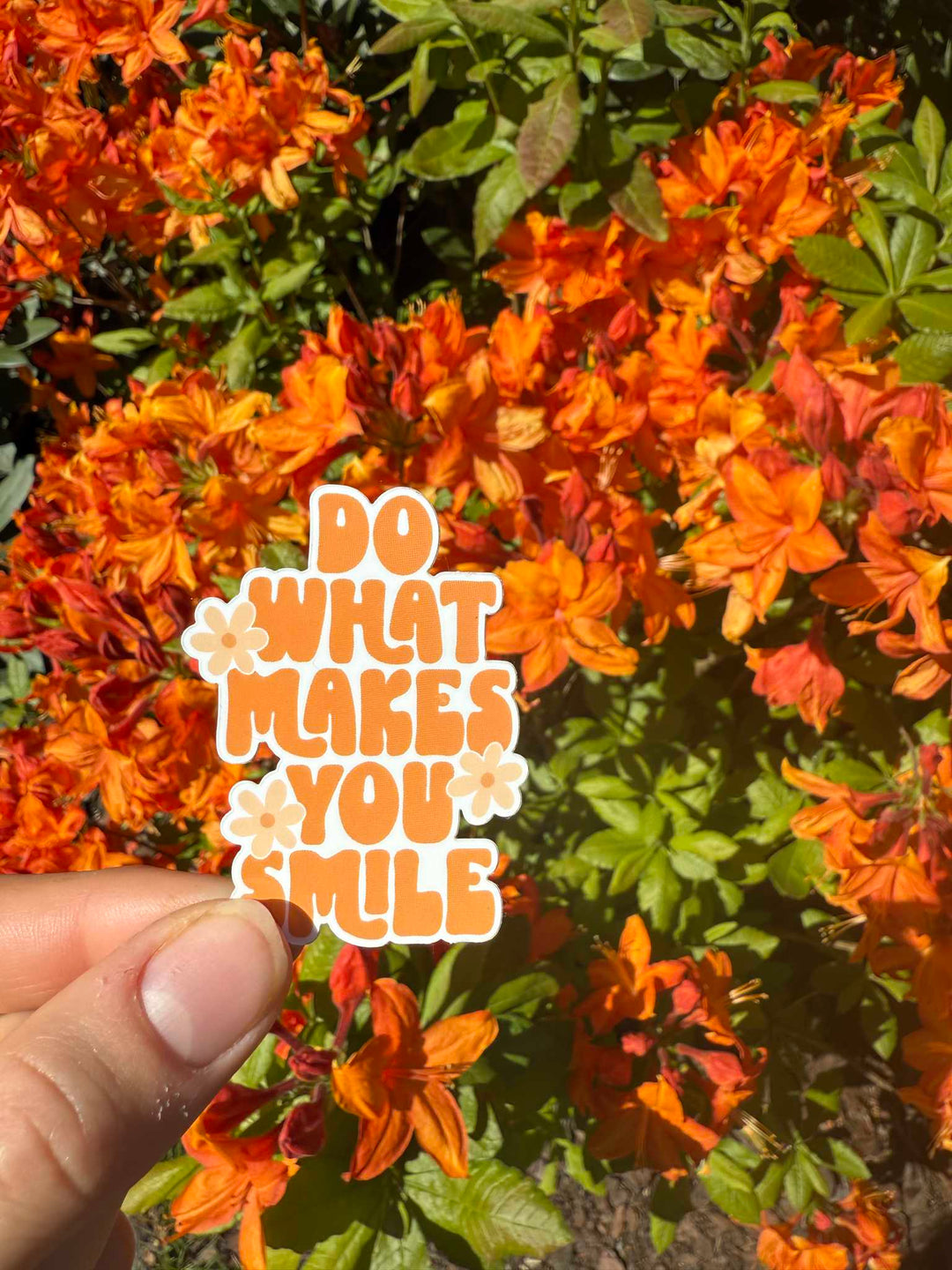 Do what makes you smile sticker