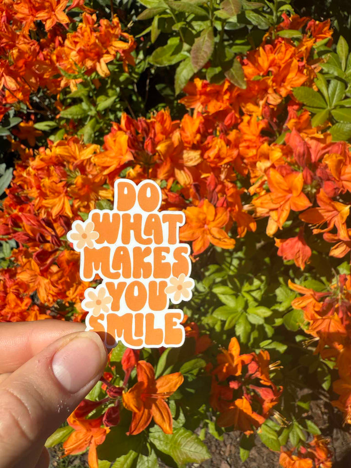Do what makes you smile sticker